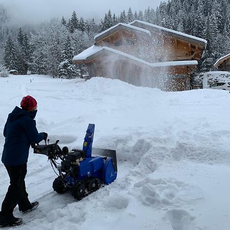 Vila La Jolie Bergere Morzine Exteriér fotografie