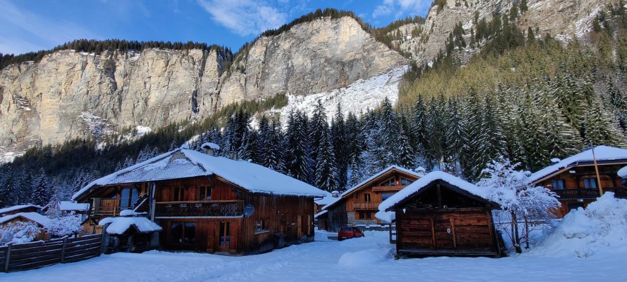 Vila La Jolie Bergere Morzine Exteriér fotografie