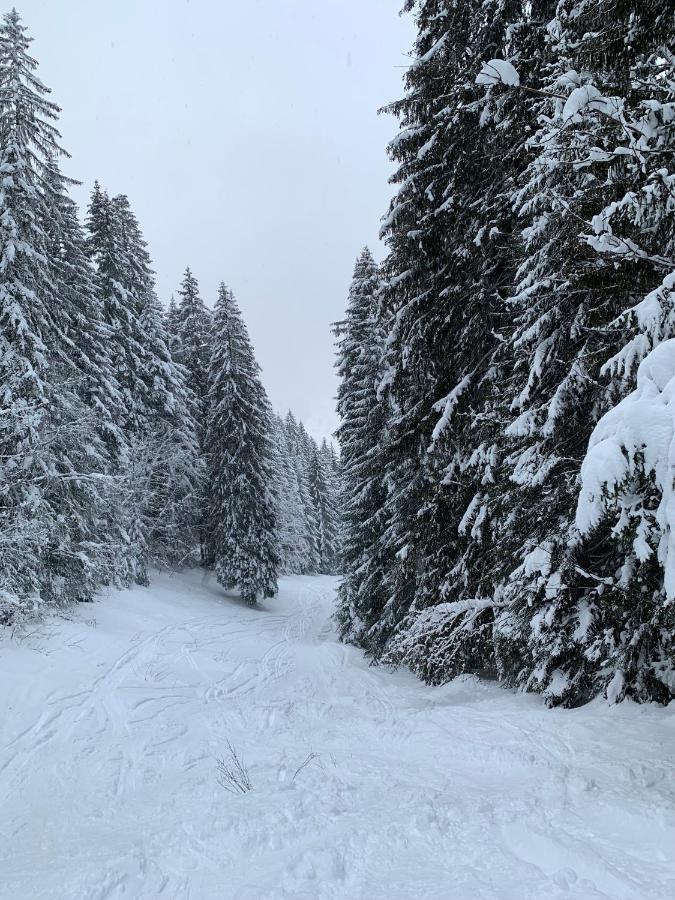 Vila La Jolie Bergere Morzine Exteriér fotografie