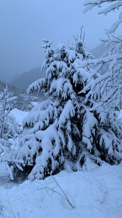 Vila La Jolie Bergere Morzine Exteriér fotografie